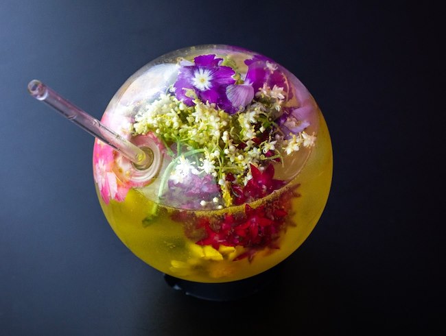 Cocktail of the Month