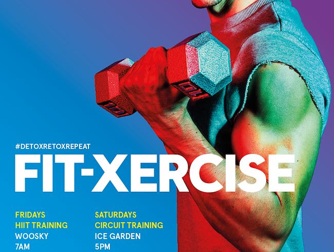 FIT-XERCISE